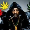 snoop dogg smoke weed everyday ringtone download