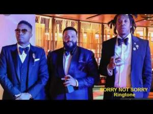 sorry not sorry ringtone download