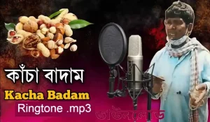 kacha badam ringtone + remix + orginal song download mp3 320kbps