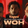 woh song ringtone download mp3 320kbps ikka x dino james x badshah song