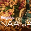 naa jaa ringtone shruti rane