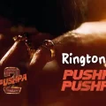 puhspa pushpa song ringtone